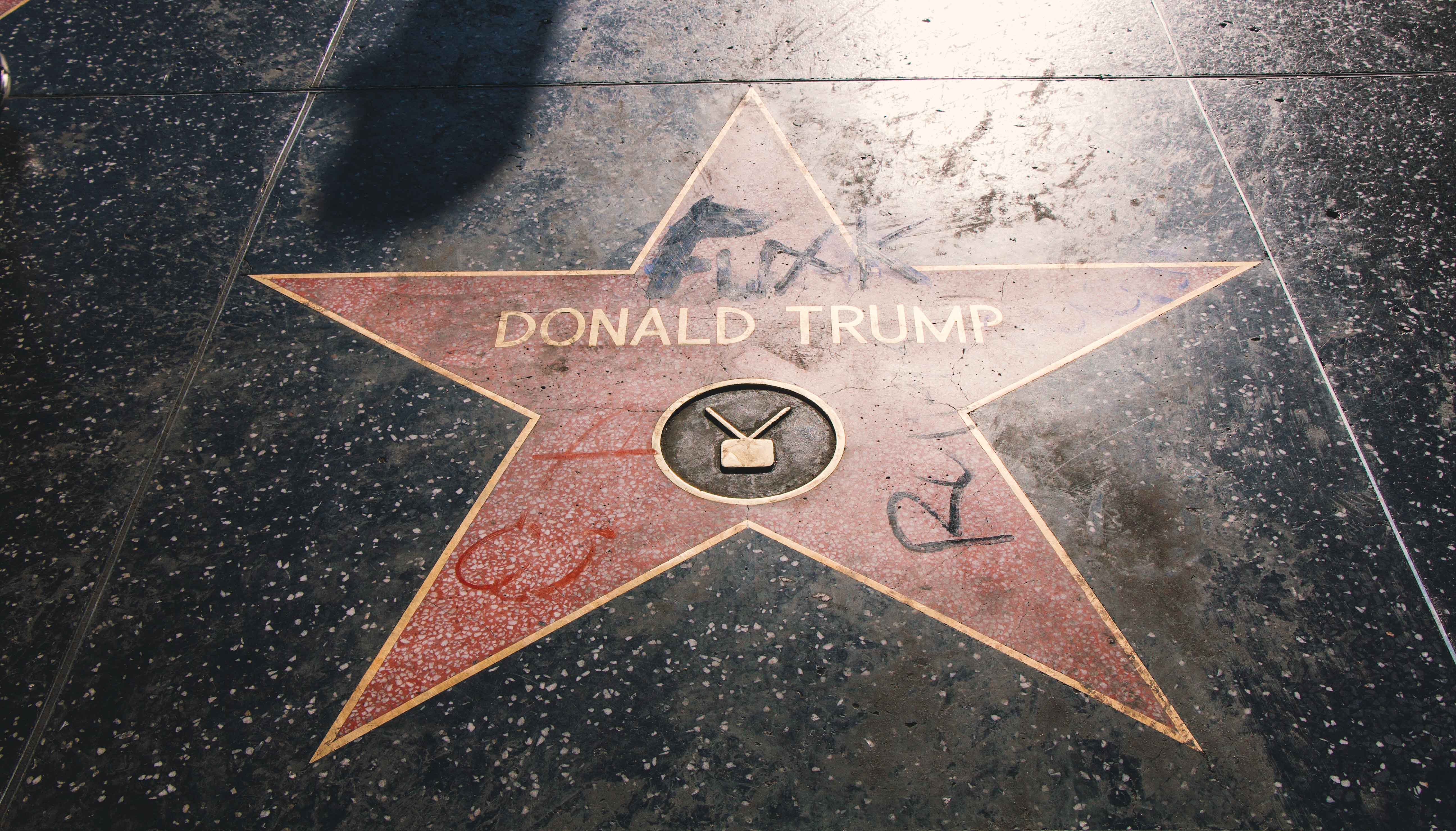 Donald Trump star