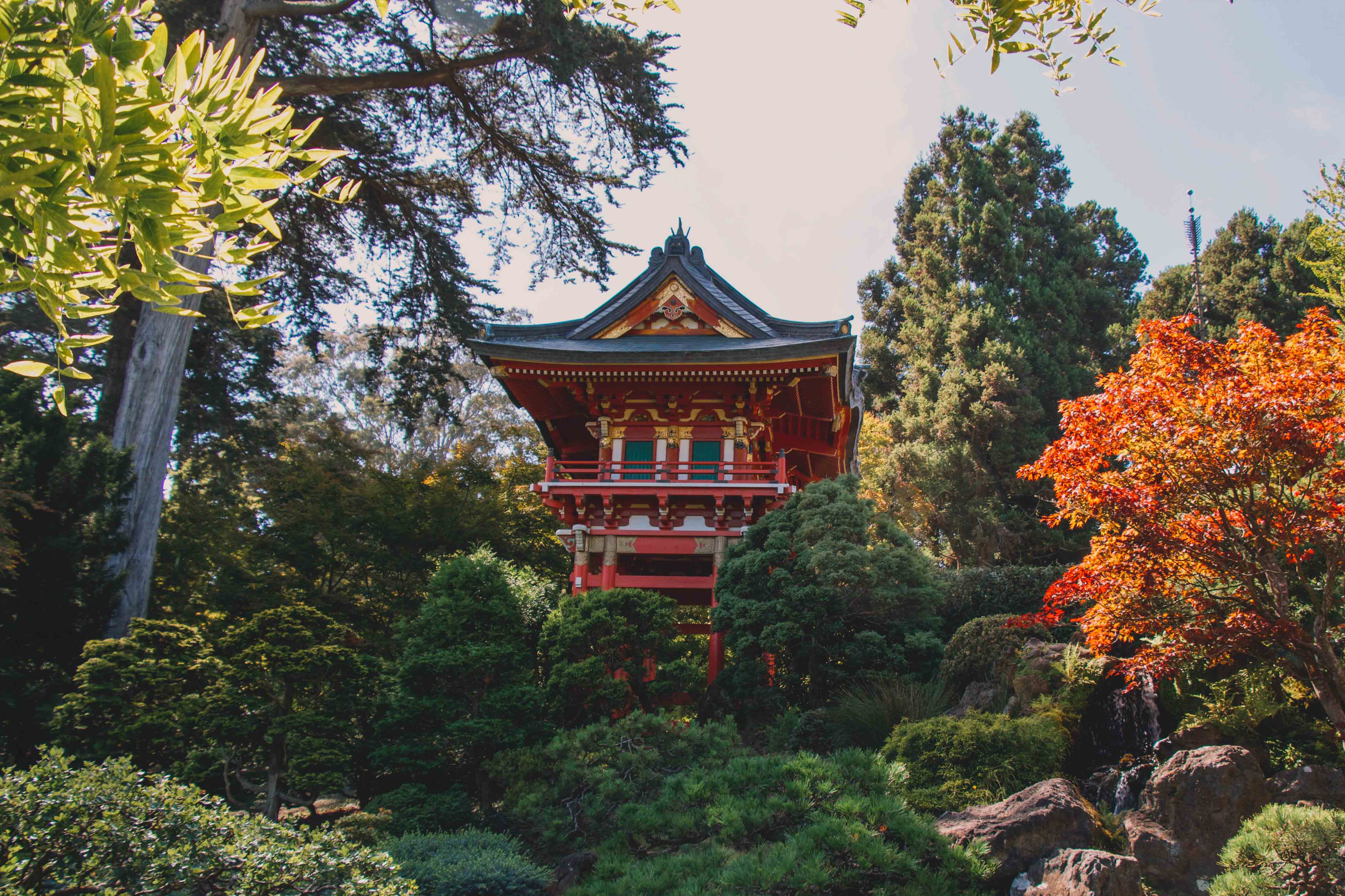 San Francisco Japanese gardens